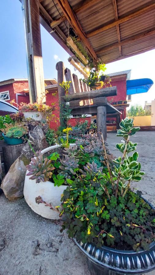 Hostel Cape Town - Cambará Екстериор снимка