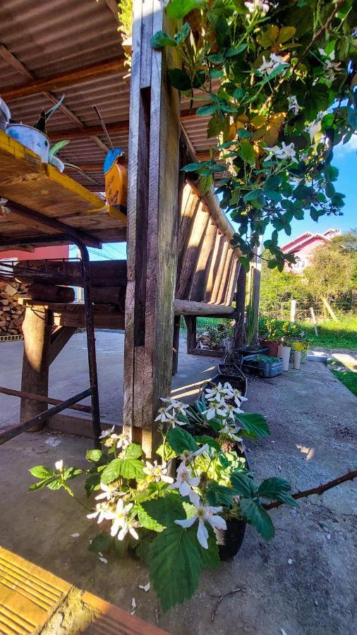 Hostel Cape Town - Cambará Екстериор снимка