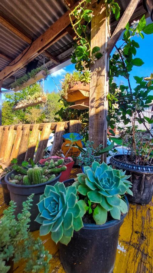 Hostel Cape Town - Cambará Екстериор снимка