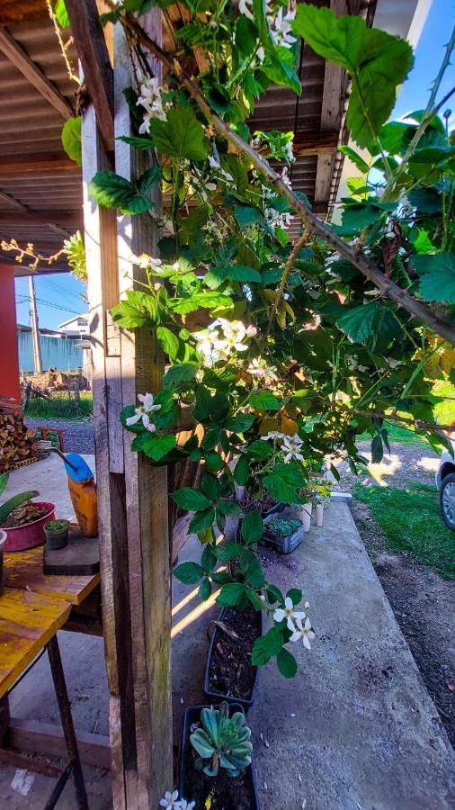 Hostel Cape Town - Cambará Екстериор снимка